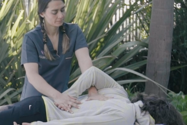 Quiromasaje en Línea