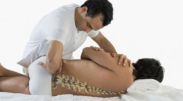 Anatomía y Fisiología en Línea