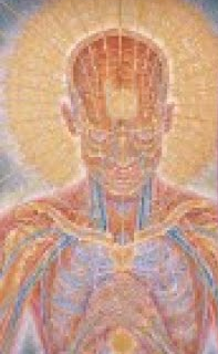 Anatomía y Fisiología en Línea